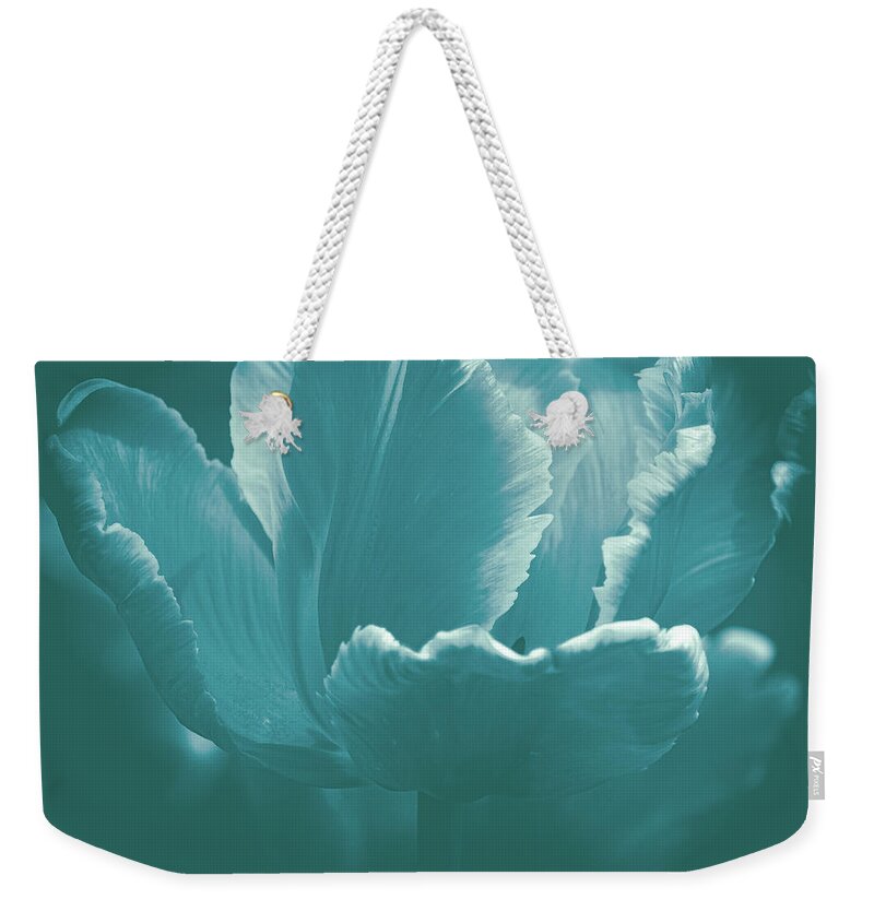 Art Weekender Tote Bag featuring the photograph Elegant Tulip by Joan Han