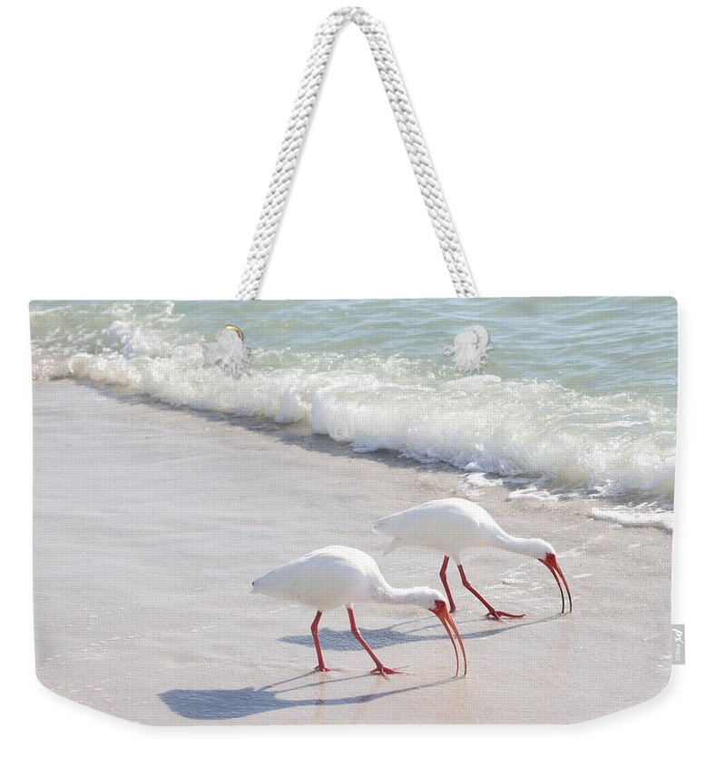 White Ibis Weekender Tote Bag featuring the photograph Elegantly in Synch by Mingming Jiang