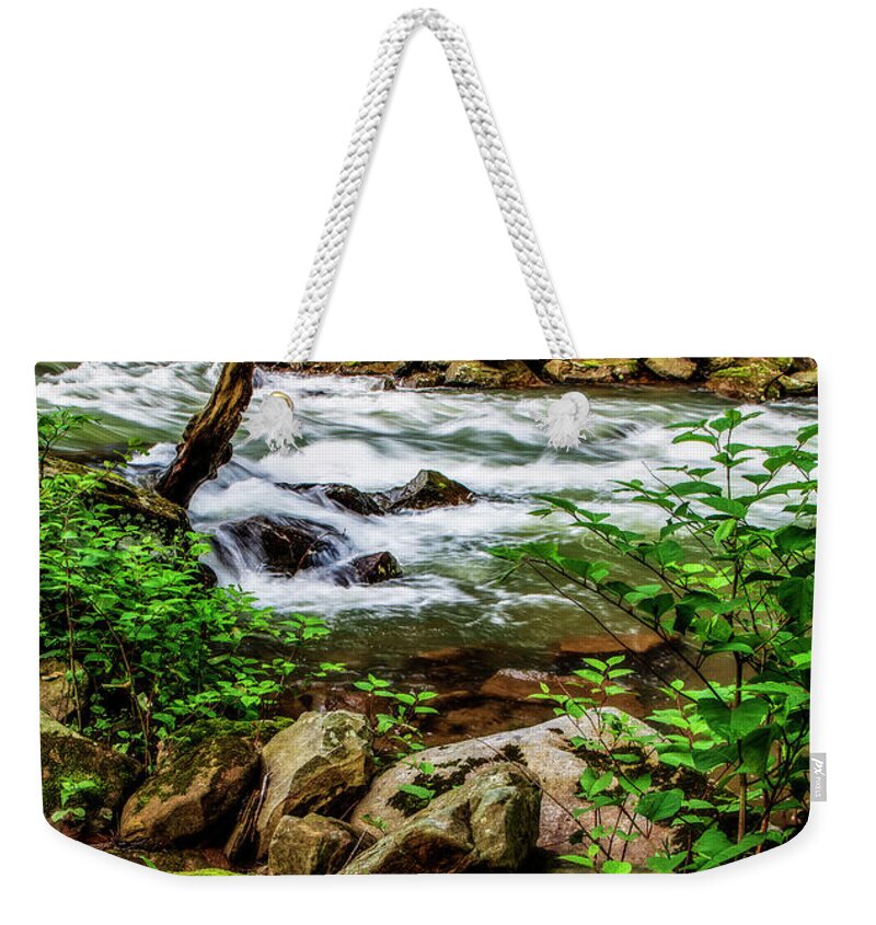 Portrait Orientation Weekender Tote Bag featuring the photograph Elements of Nature by Lisa Lambert-Shank
