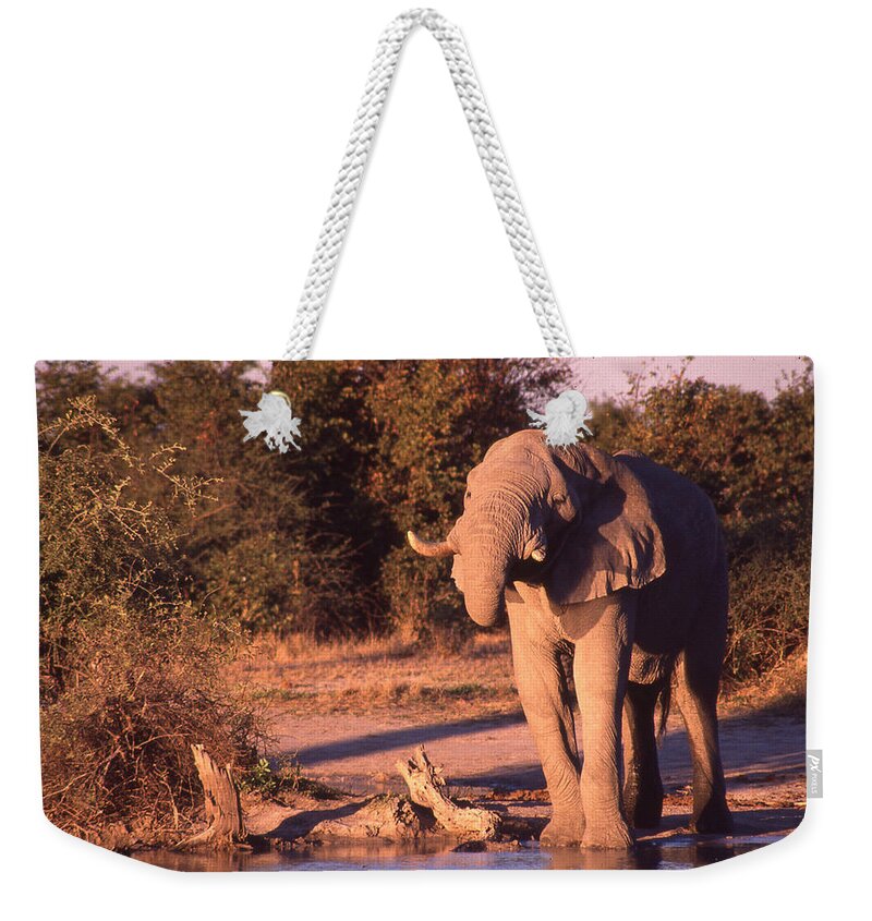 Africa Weekender Tote Bag featuring the photograph Elephant at Watering Hole by Russel Considine