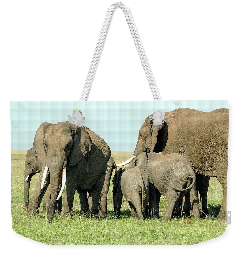 Elephant Weekender Tote Bag featuring the photograph Elephant Family by Steve Templeton