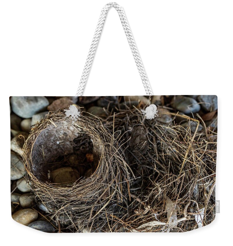 Animals Weekender Tote Bag featuring the photograph Empty Nest - Wildlife Photography 2 by Amelia Pearn