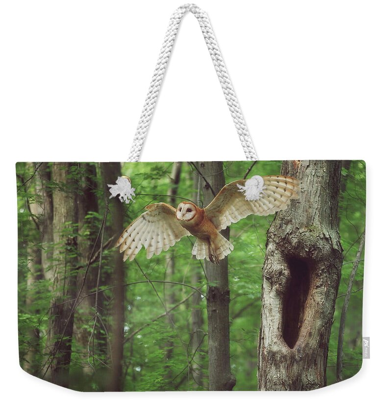 Enchanted Forest Weekender Tote Bag featuring the photograph Enchanted Forest Cropped Version by Carrie Ann Grippo-Pike
