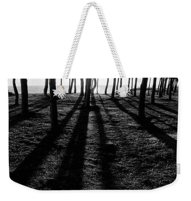 Tree Silhouettes Weekender Tote Bag featuring the photograph Enchanted sunset in Monochrome by Angelo DeVal
