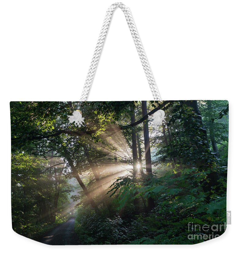 Magical Forest Weekender Tote Bag featuring the photograph Enchanting sunlight in the forest 1 by Adriana Mueller