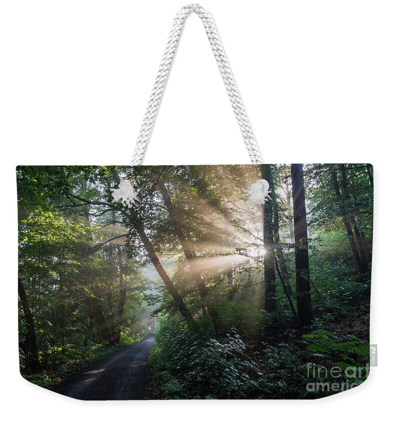 Magic Weekender Tote Bag featuring the photograph Enchanting sunlight in the forest 2 by Adriana Mueller