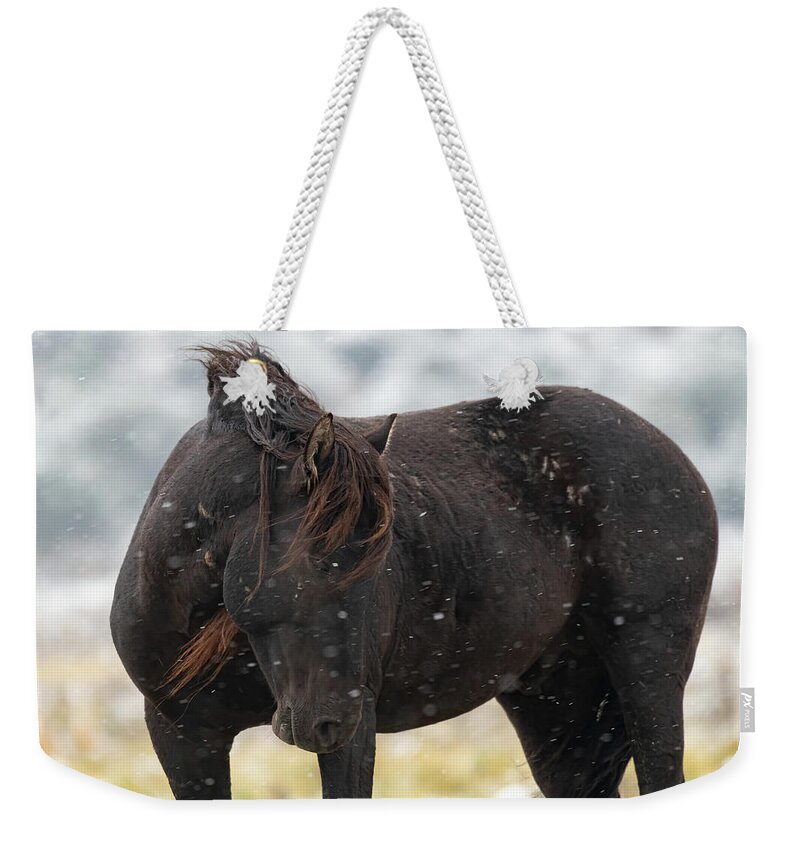 Wild Horses Weekender Tote Bag featuring the photograph Endurance by Mary Hone