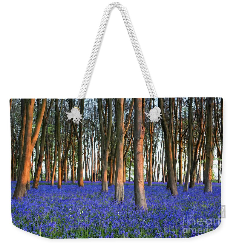 Bluebells Weekender Tote Bag featuring the photograph English Bluebells in an Beech and Oak Wood by Tim Gainey