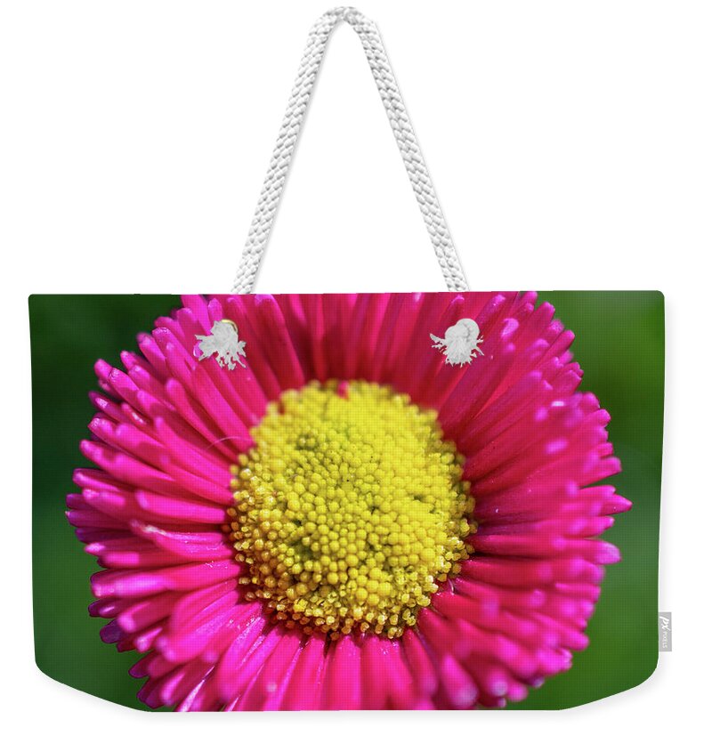 Flower Weekender Tote Bag featuring the photograph English Daisy by Abigail Diane Photography