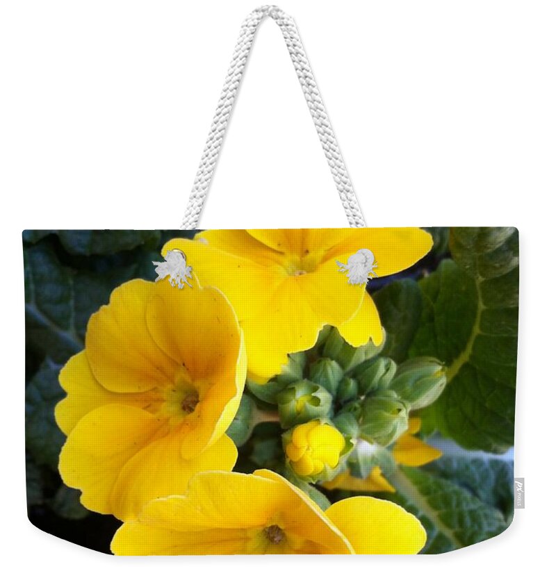 Photograph Weekender Tote Bag featuring the photograph English Primroses by Beverly Read