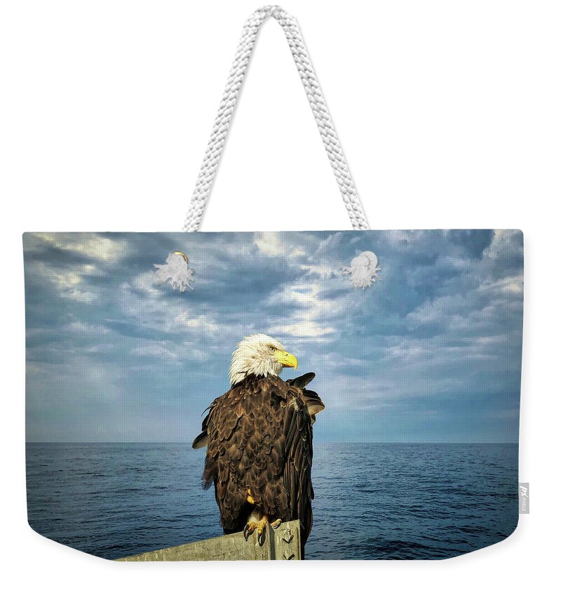 Bald Eagle Weekender Tote Bag featuring the photograph Enjoying a Maine Sky by Jack Wilson