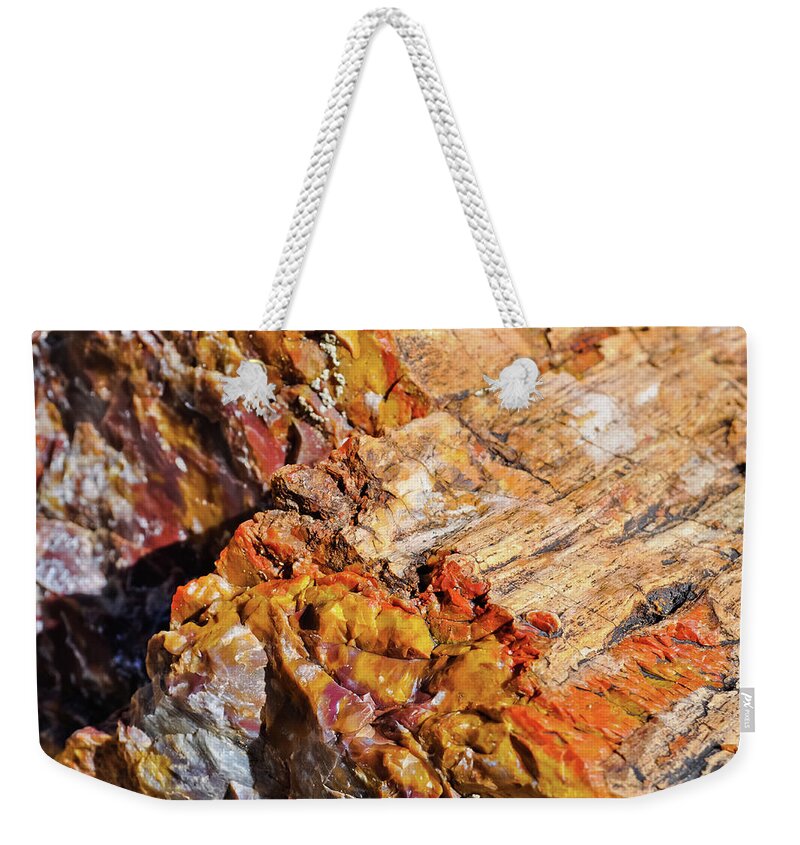 Escalante Petrified Forest State Park Weekender Tote Bag featuring the photograph Escalante Petrified Wood by Kyle Hanson