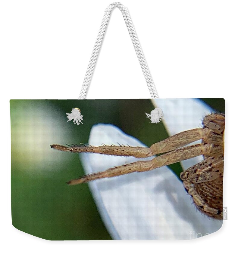 Bug Weekender Tote Bag featuring the photograph Escapes by Catherine Wilson
