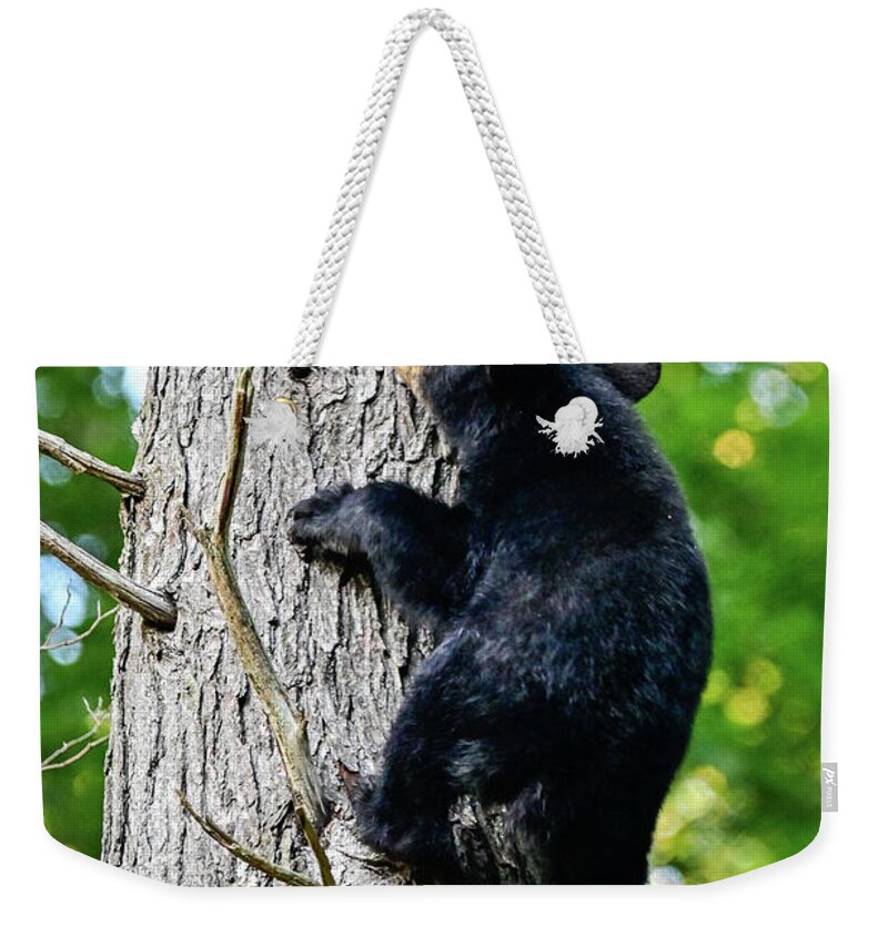 Wildlife Weekender Tote Bag featuring the photograph Escaping Danger by Ed Stokes