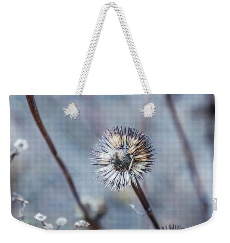 Wildflowers Weekender Tote Bag featuring the photograph Ethereal Blue by Cate Franklyn