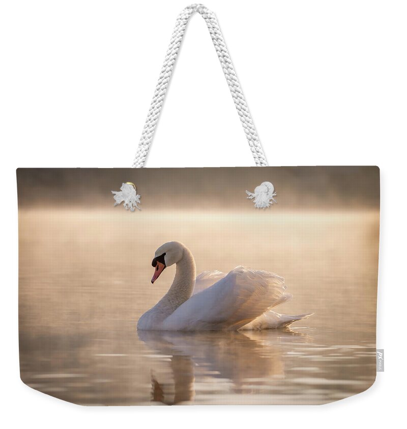 Blue Ridge Parkway Weekender Tote Bag featuring the photograph Ethereal Morning by Robert J Wagner