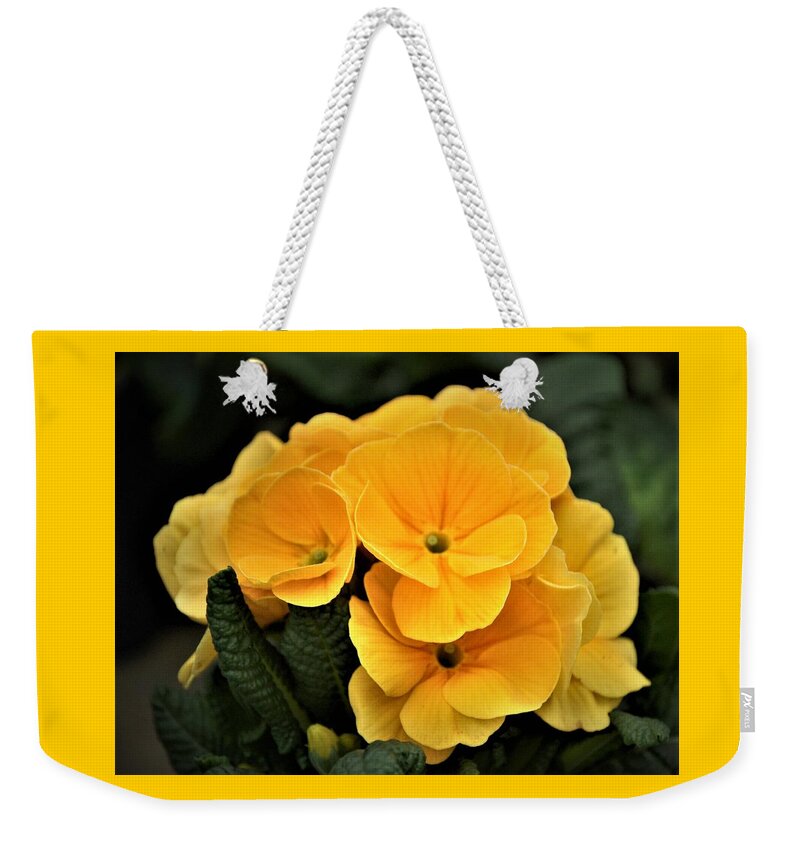Evening Primrose Weekender Tote Bag featuring the photograph Evening Primrose, Gold by Nancy Ayanna Wyatt