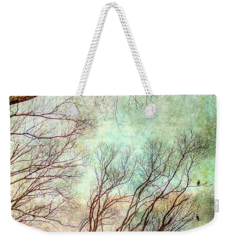 Tree Weekender Tote Bag featuring the photograph Evening Shags by Roseanne Jones