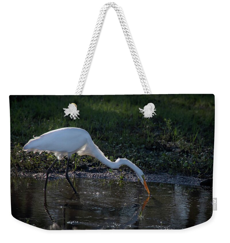 Egret Weekender Tote Bag featuring the photograph Evening Visitor by M Kathleen Warren