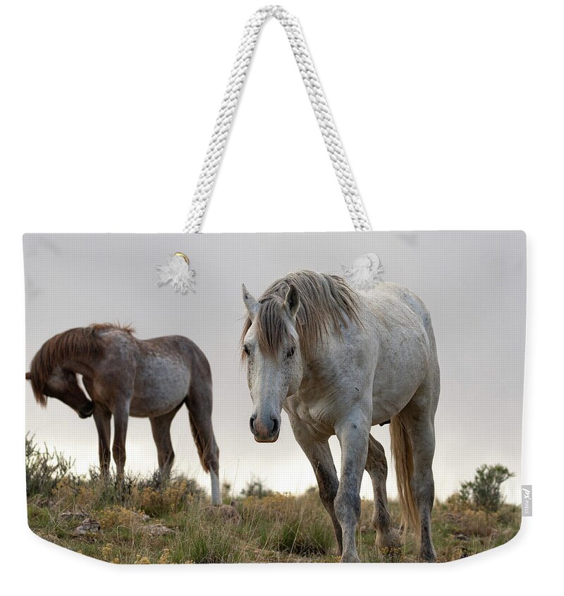 Wild Horses Weekender Tote Bag featuring the photograph Evening with friends by Mary Hone