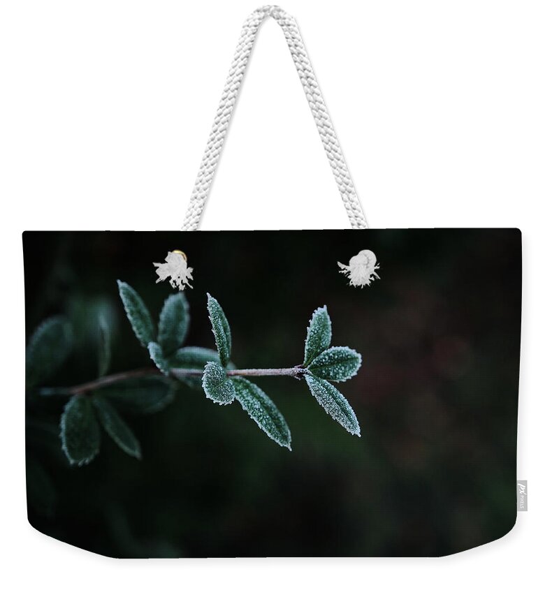 Landscape Weekender Tote Bag featuring the photograph Everett Green by Jermaine Beckley