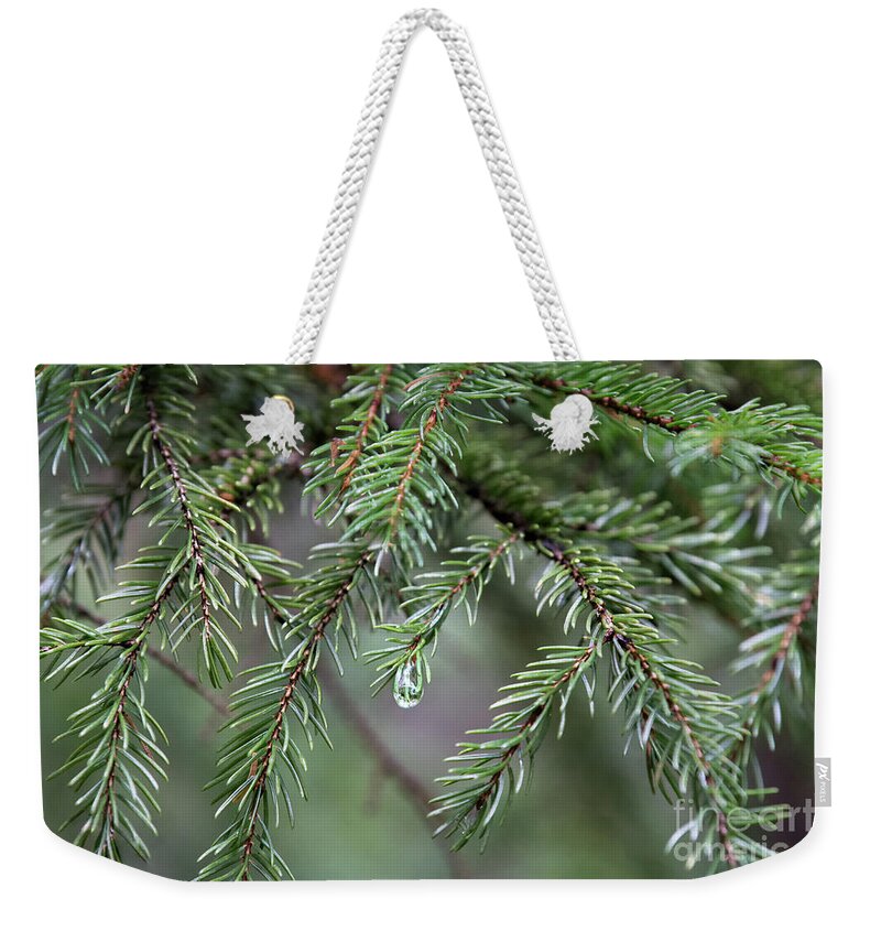 Evergreen Weekender Tote Bag featuring the photograph Evergreen - Pine needles by Rehna George