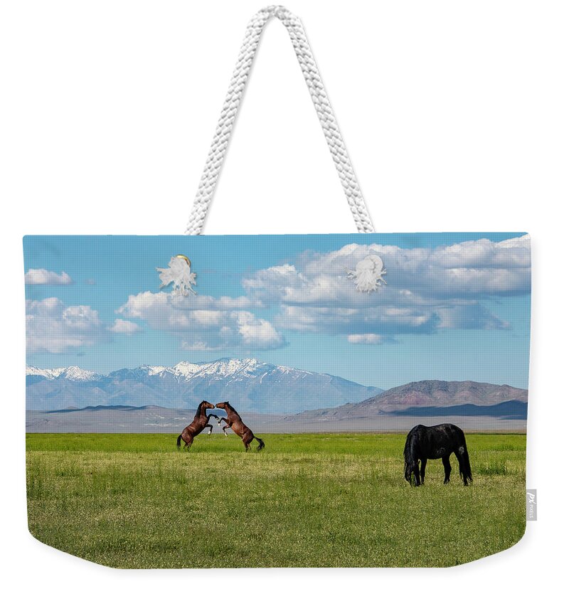  Weekender Tote Bag featuring the photograph Face Mask Grass Upright Fight by Dirk Johnson