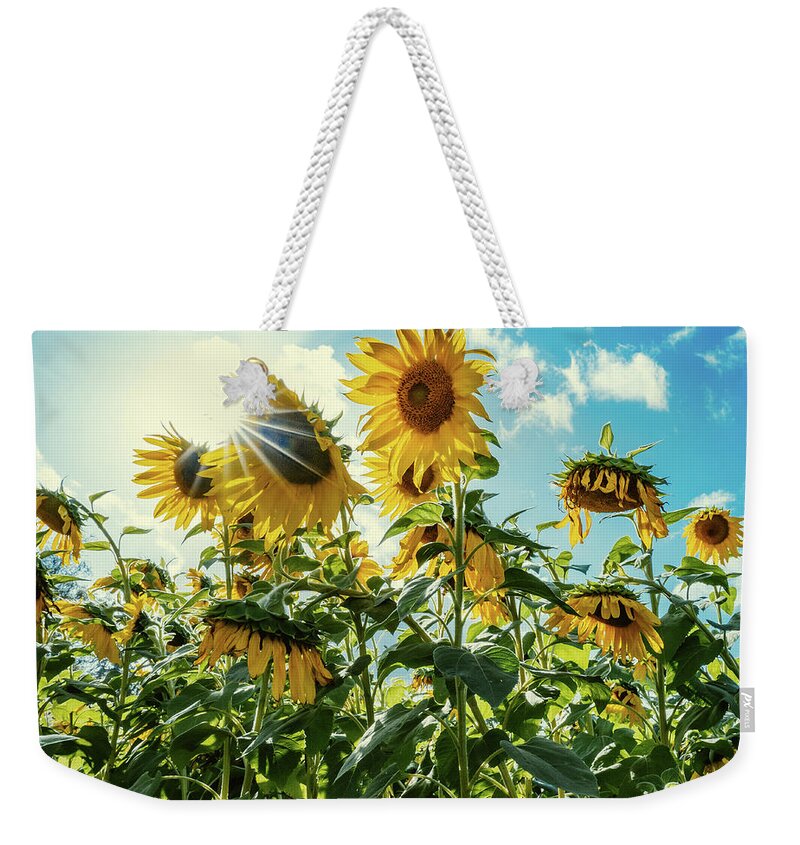 Sunflower Weekender Tote Bag featuring the photograph Face the Future by Ada Weyland