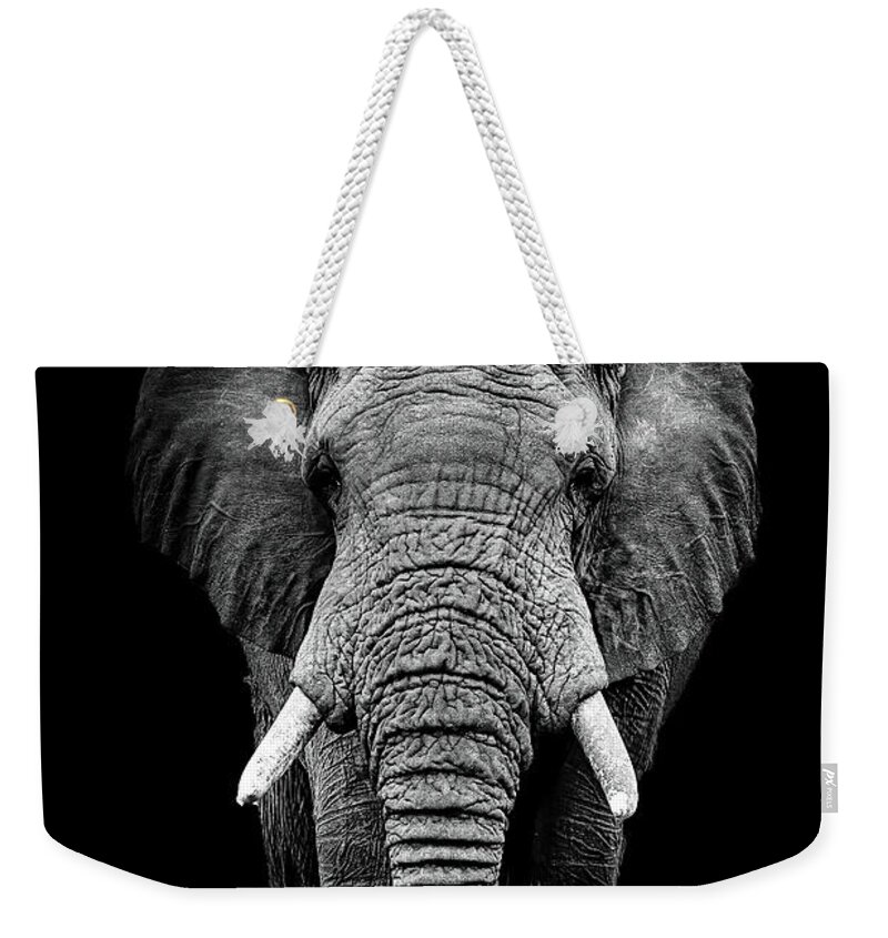 Elephant Weekender Tote Bag featuring the photograph Face to Face by Kay Brewer