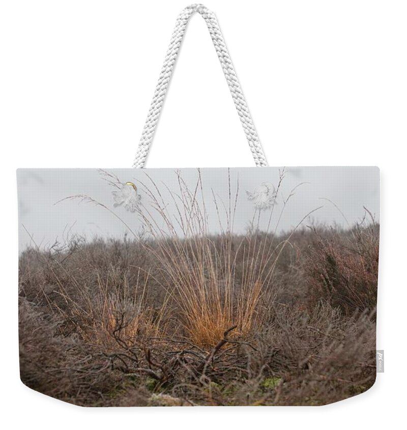 Alone Weekender Tote Bag featuring the photograph Faces Of Maasduinen 20 by Jaroslav Buna