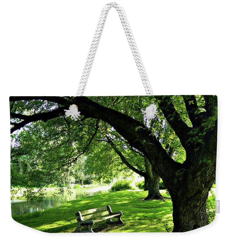 Facing The Willow Weekender Tote Bag featuring the photograph Facing The Willow by Cyryn Fyrcyd