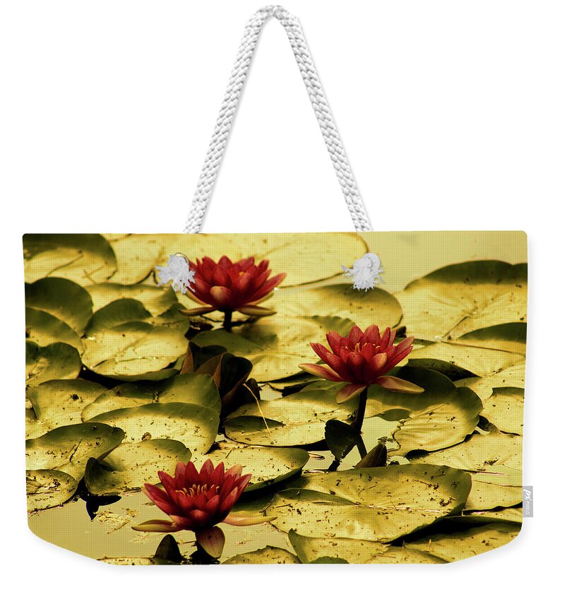 Pond Weekender Tote Bag featuring the photograph Fading of Summer by Christopher Reed