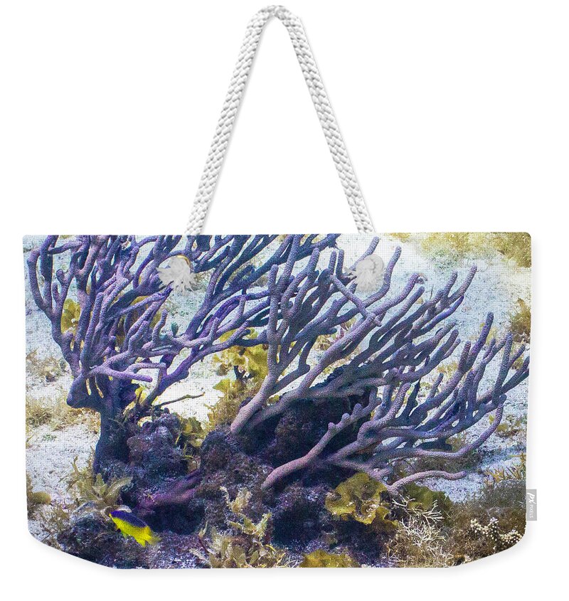 Fish Weekender Tote Bag featuring the photograph Fairytail Land by Lynne Browne