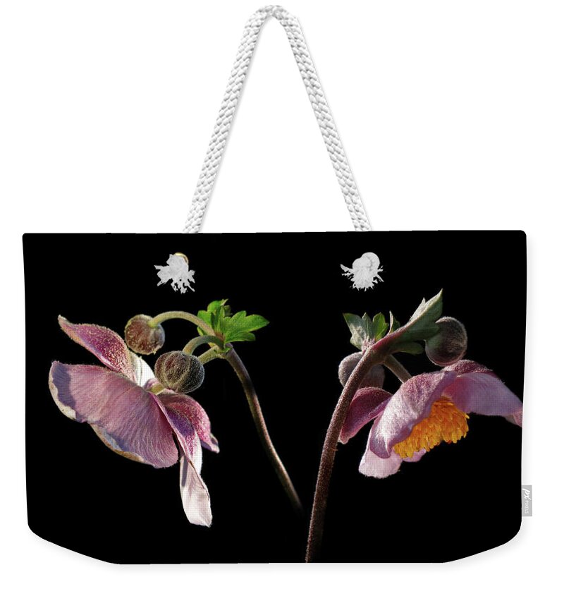 Fall Anemone Weekender Tote Bag featuring the photograph Fall Anemone by Movie Poster Prints