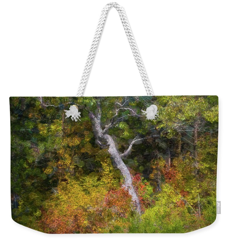 Nature Weekender Tote Bag featuring the photograph Seasons Change #1 by Linda Shannon Morgan