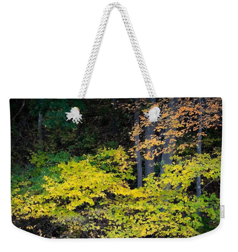 Trees Weekender Tote Bag featuring the photograph Fall Chartreuse by Linda Bonaccorsi