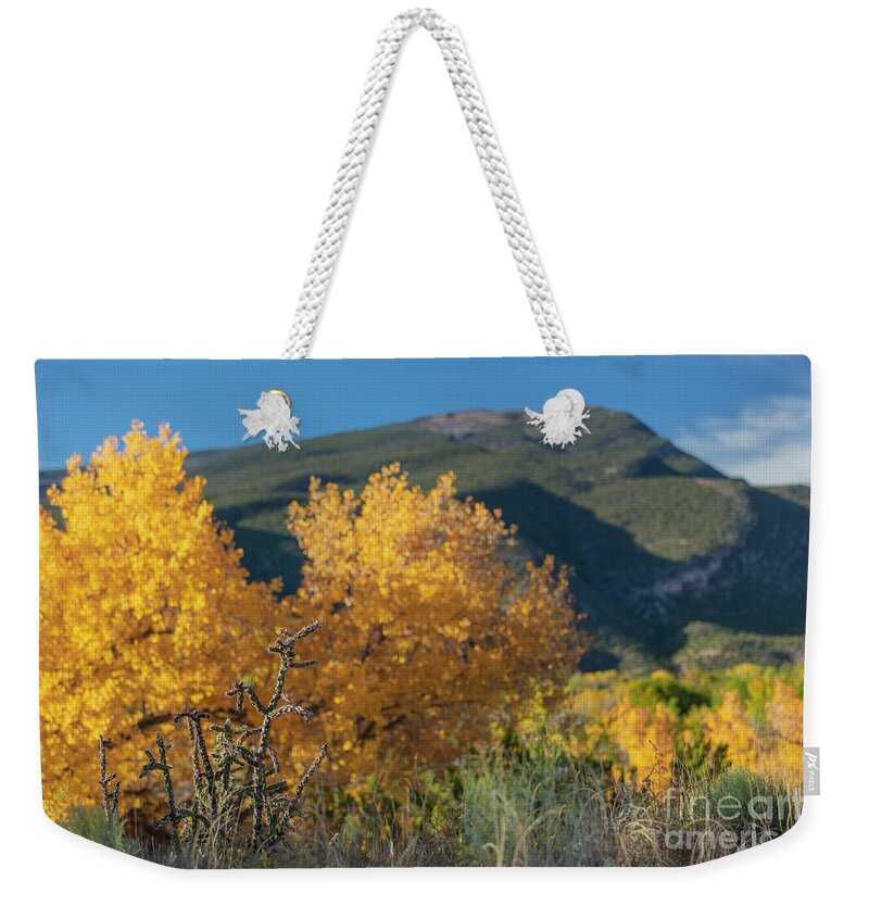 Landscape Weekender Tote Bag featuring the photograph Fall Cholla by Seth Betterly