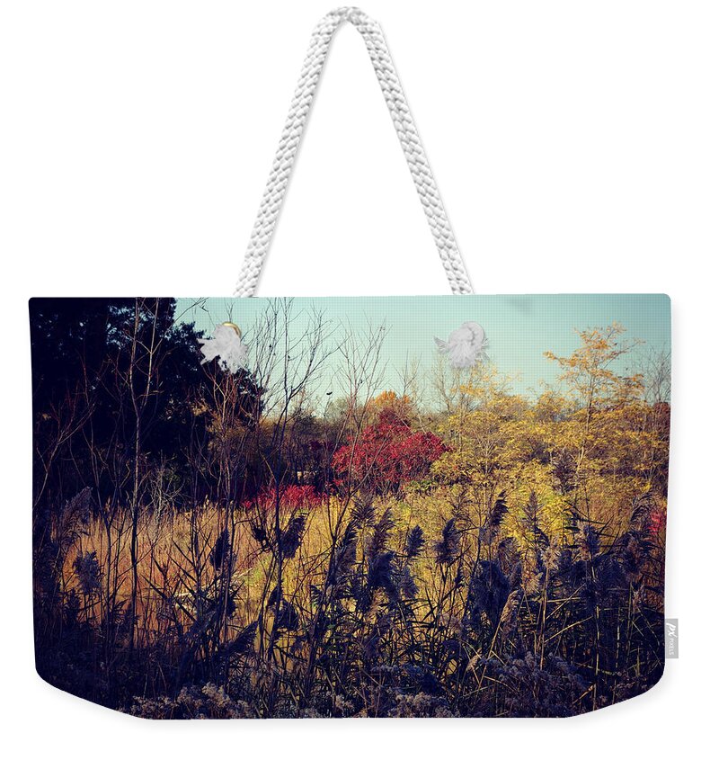 Nature Weekender Tote Bag featuring the photograph Fall Colors In The Prairie by Frank J Casella