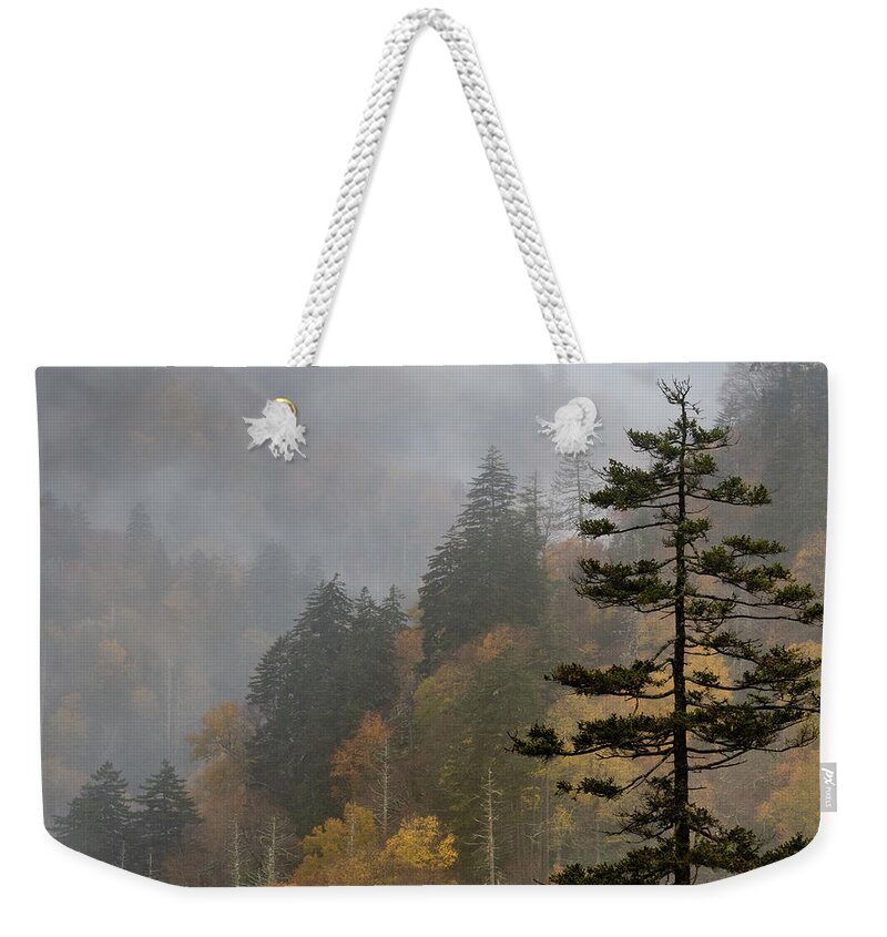 Great Smoky Mountains National Park Weekender Tote Bag featuring the photograph Fall in the Smoky Mountains by Forest Floor Photography