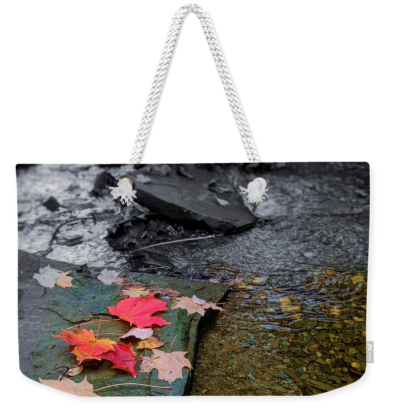  Weekender Tote Bag featuring the photograph Fall Leaves by Brad Nellis