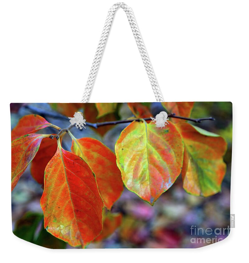Leaves Weekender Tote Bag featuring the photograph Fall Leaves by Vivian Krug Cotton