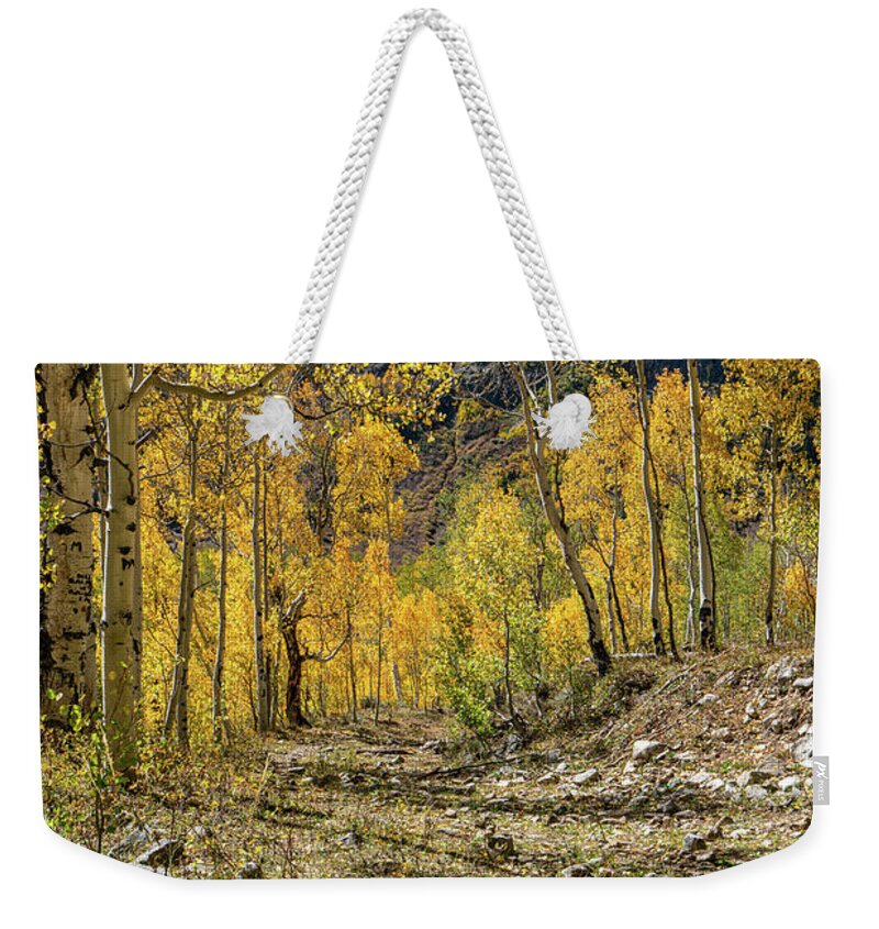 Aspens Weekender Tote Bag featuring the photograph Fall Mountain Road by Ron Long Ltd Photography
