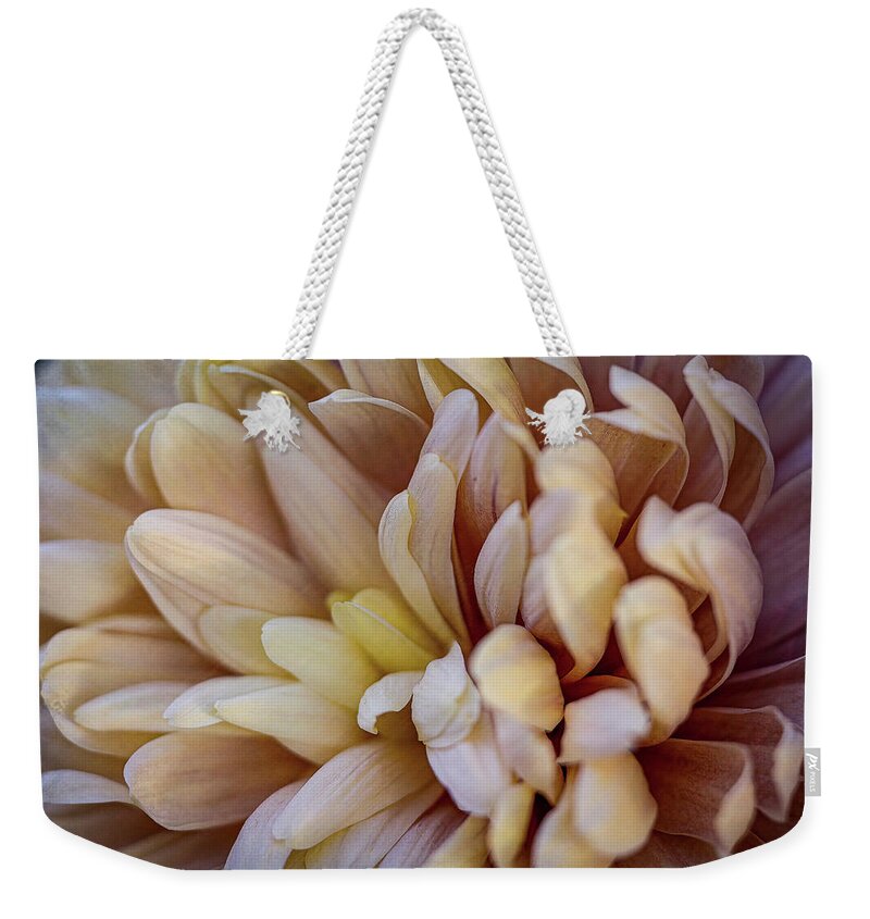 Fall Weekender Tote Bag featuring the photograph Fall Mums 2 by Cheri Freeman