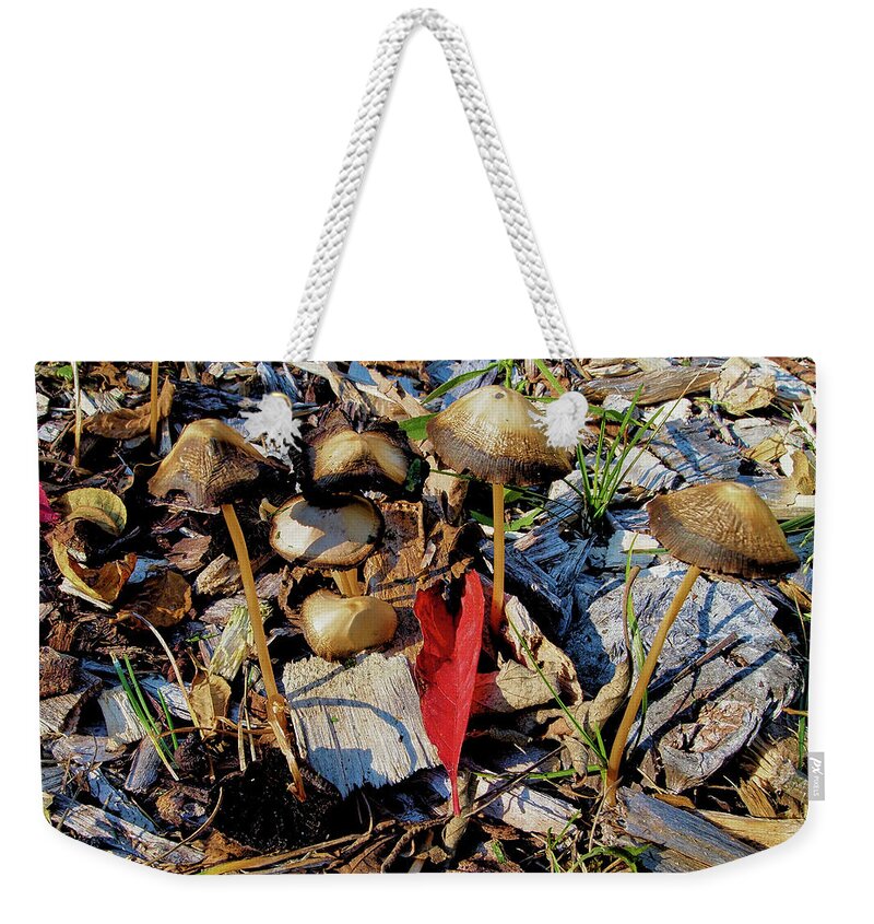 Fall Weekender Tote Bag featuring the photograph Fall Mushrooms I by Scott Olsen