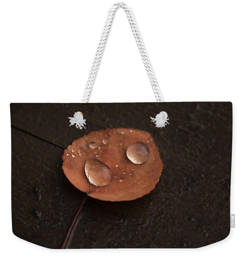 Wet Leaf Weekender Tote Bag featuring the photograph Fall Rain by Aaron Berg