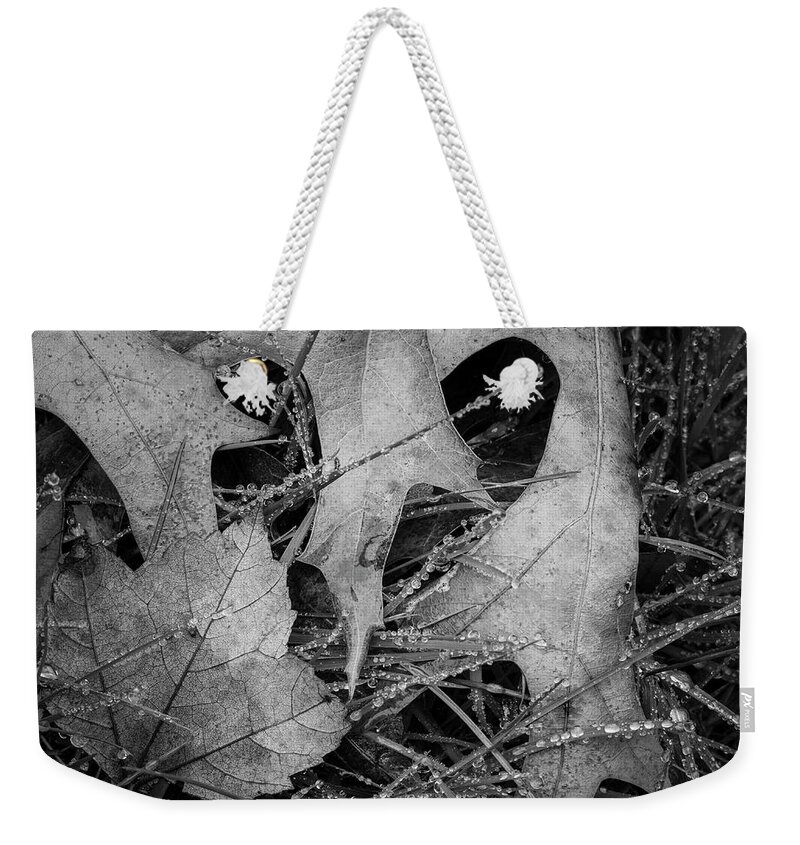 Black Weekender Tote Bag featuring the photograph Fallen Leaves and Dew Drops BW by David Gordon