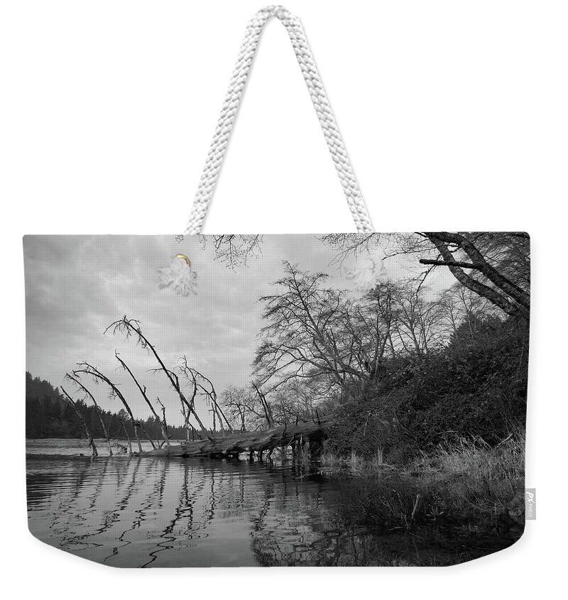 Salmon River Weekender Tote Bag featuring the photograph Fallen Tree at the Mouth of the Salmon River by John Parulis