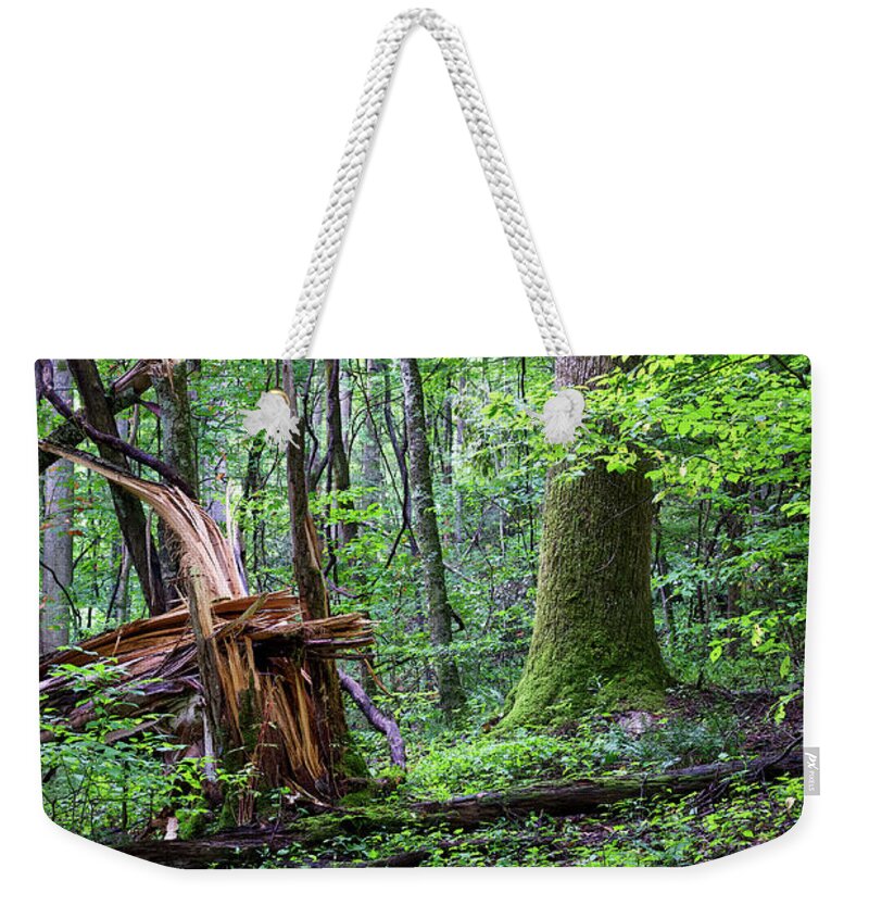 Tree Weekender Tote Bag featuring the digital art Fallen Tree by Phil Perkins