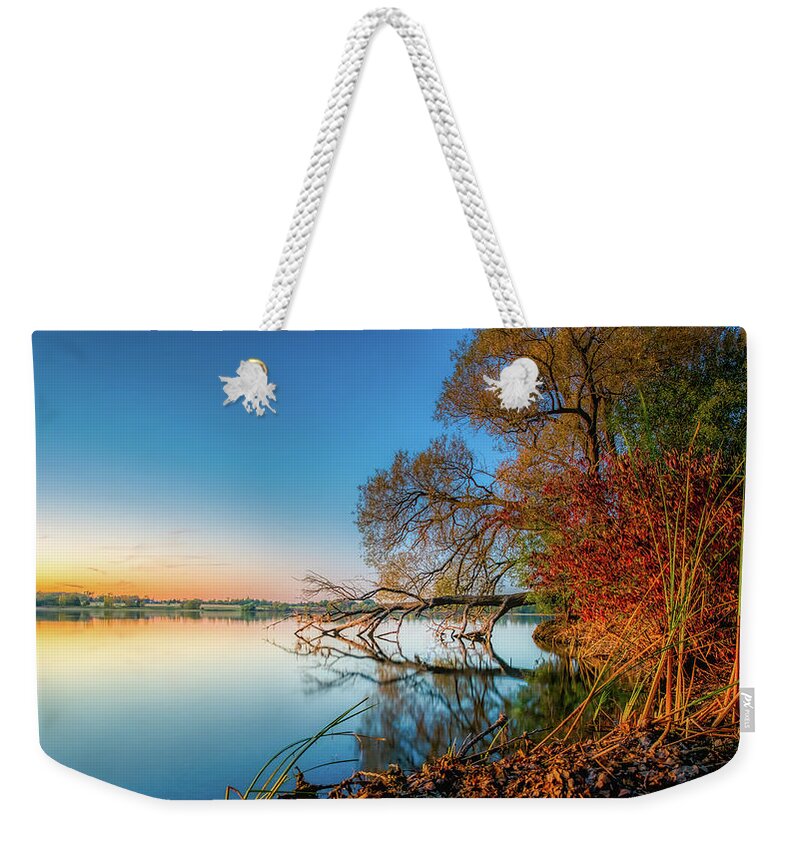Trees Weekender Tote Bag featuring the photograph Fallen Tree Reflection by Dee Potter