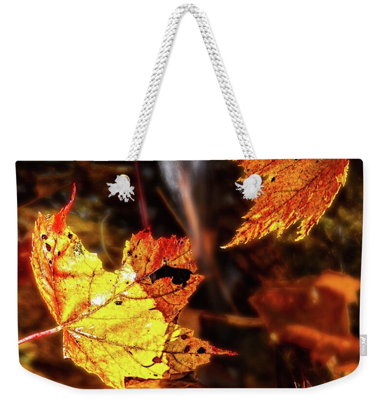 Autumn Weekender Tote Bag featuring the photograph Falling Leaves Fall Colors by Dan Carmichael